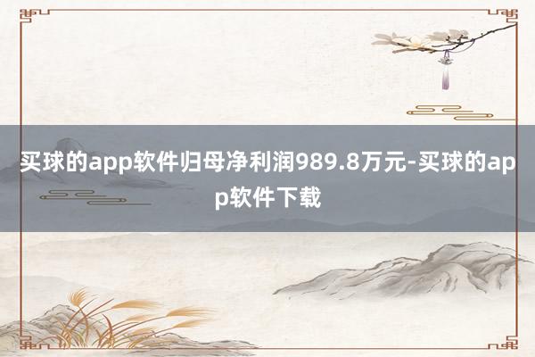 买球的app软件归母净利润989.8万元-买球的app软件下载