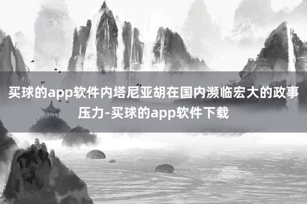 买球的app软件内塔尼亚胡在国内濒临宏大的政事压力-买球的app软件下载