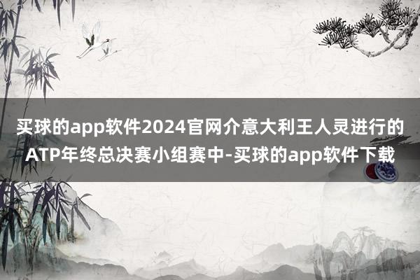 买球的app软件2024官网介意大利王人灵进行的ATP年终总决赛小组赛中-买球的app软件下载