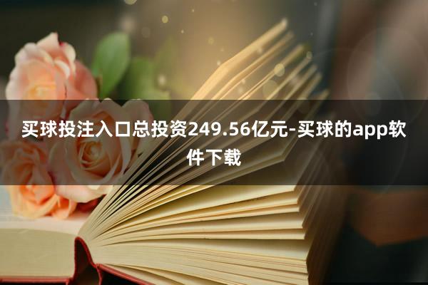 买球投注入口总投资249.56亿元-买球的app软件下载