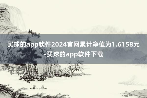 买球的app软件2024官网累计净值为1.6158元-买球的app软件下载