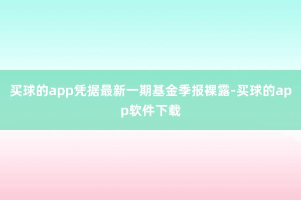 买球的app凭据最新一期基金季报裸露-买球的app软件下载