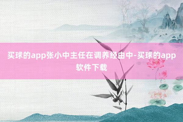 买球的app张小中主任在调养经由中-买球的app软件下载