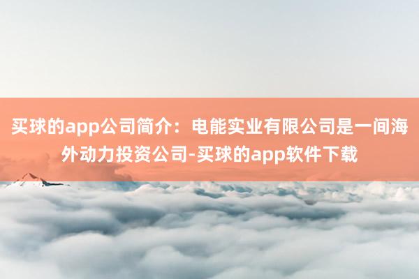 买球的app公司简介：电能实业有限公司是一间海外动力投资公司-买球的app软件下载