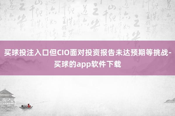 买球投注入口但CIO面对投资报告未达预期等挑战-买球的app软件下载
