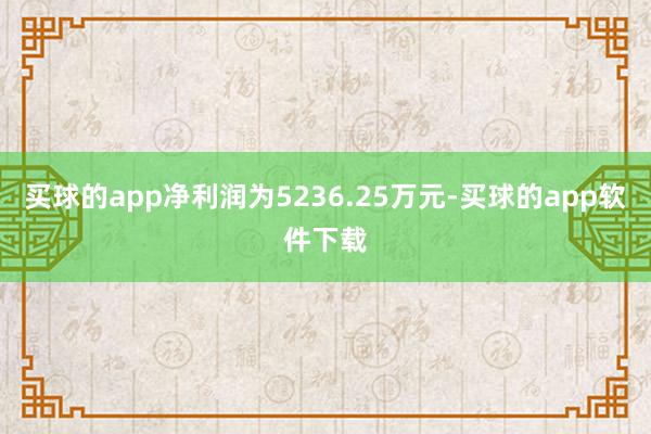 买球的app净利润为5236.25万元-买球的app软件下载