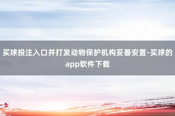 买球投注入口并打发动物保护机构妥善安置-买球的app软件下载