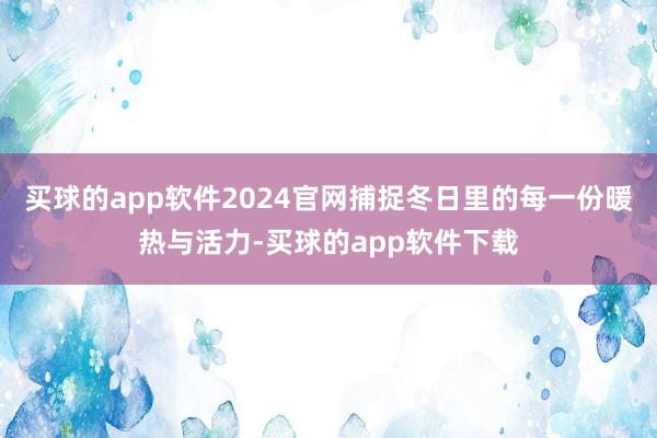 买球的app软件2024官网捕捉冬日里的每一份暖热与活力-买球的app软件下载