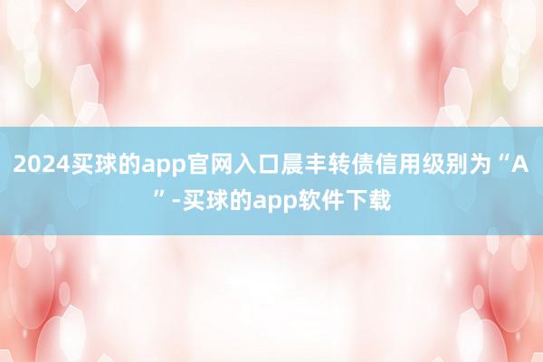 2024买球的app官网入口晨丰转债信用级别为“A”-买球的app软件下载